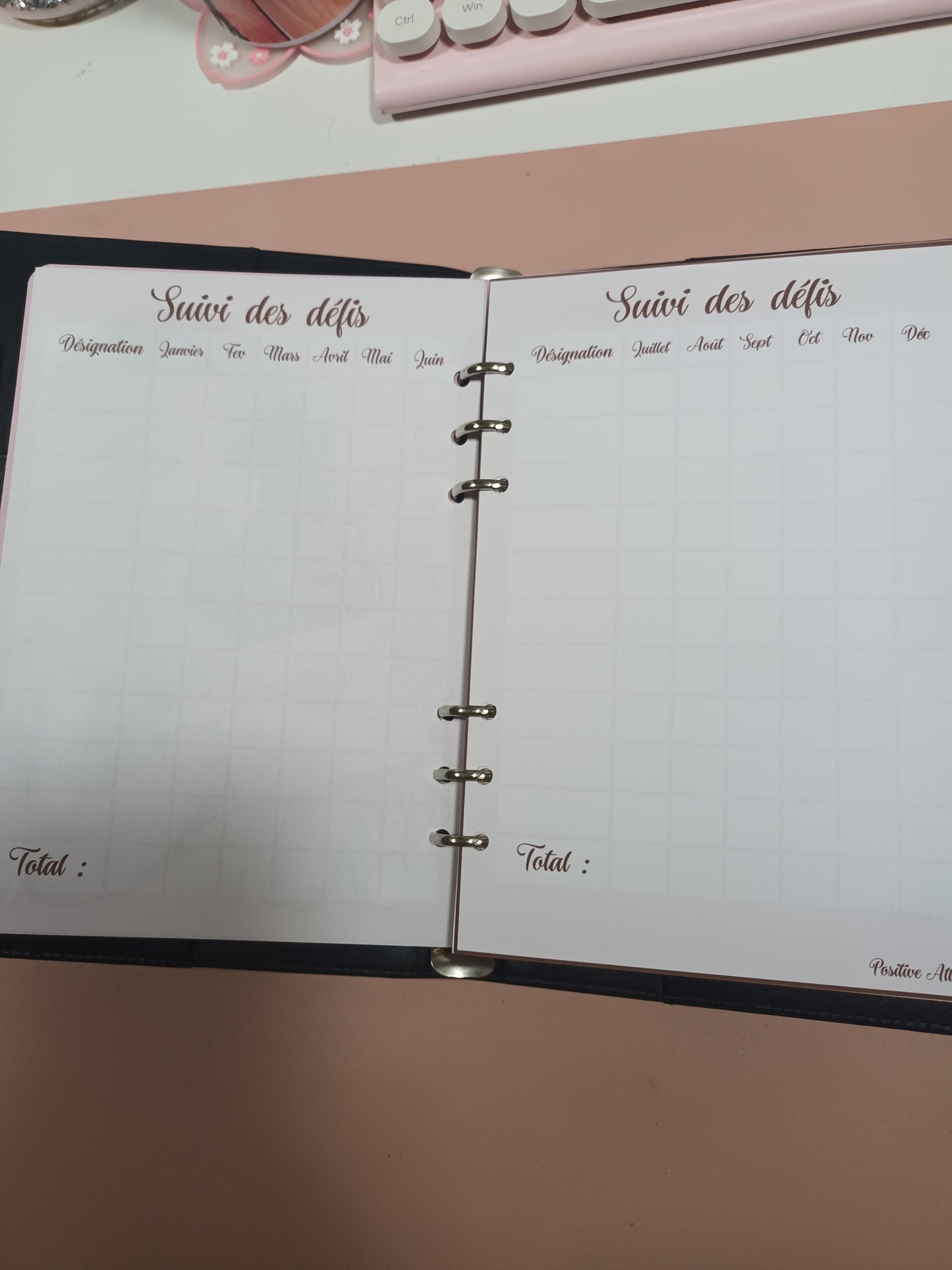 BUDGET PLANNER A5 COMPLET NON DATE POSITIVE ATTRACTION