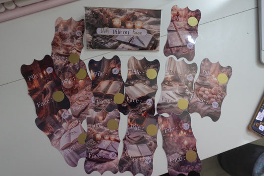 Défi Épargne “Pile ou Face” — Laisse le hasard décider pour toi