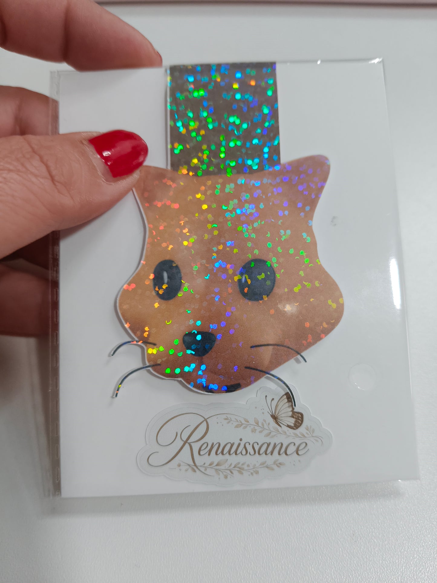 ✨ Marque-pages magnétiques – Collection illustrée