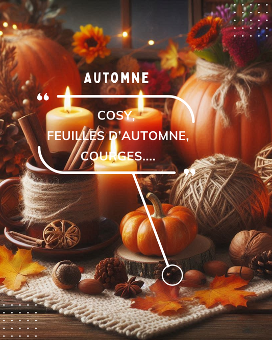 🛍️ PRECOMMANDE – 🧡 Box Défis Budgétaires – Octobre 2025  Thème du mois : Mon Automne Cosy🍁